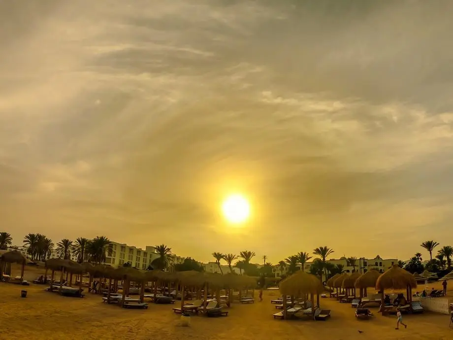 ROYAL REGENCY CLUB — фото 8, Coral Travel