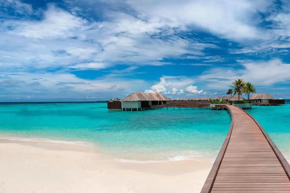 W MALDIVES — фото 6, Coral Travel