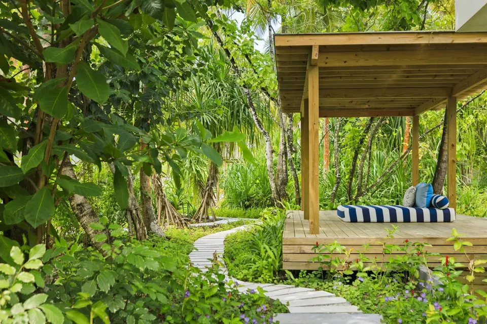 DHIGALI MALDIVES — фото 9, Coral Travel