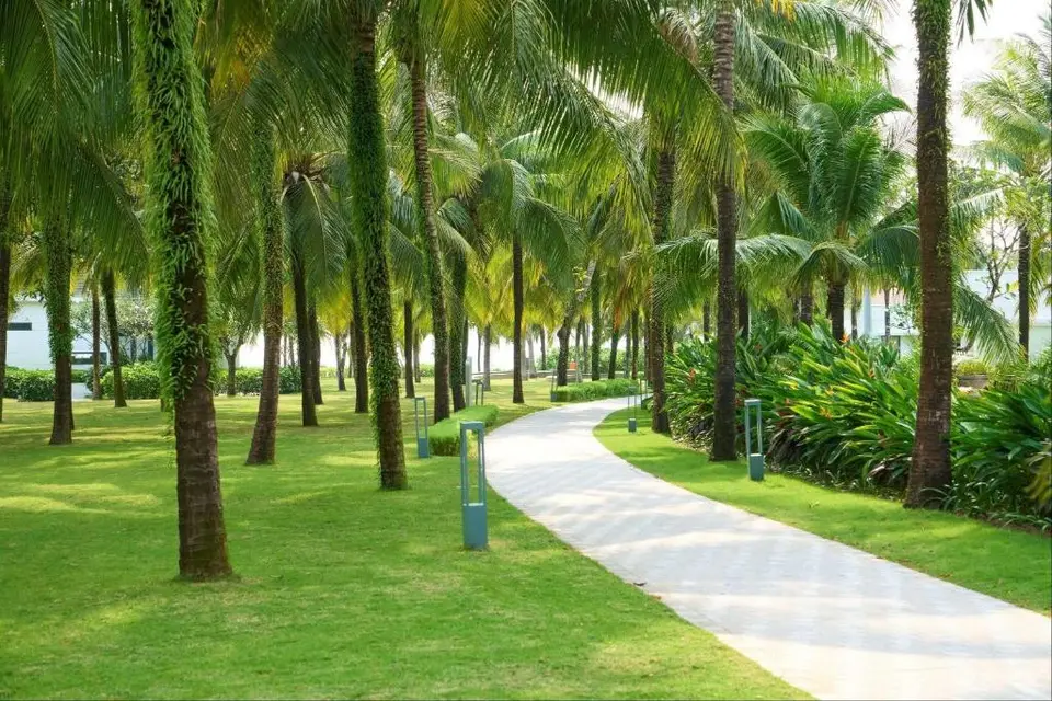 WYNDHAM GRAND PHU QUOC (EX. VINOASIS PHU QUOC RESORT) — фото 4, Coral Travel