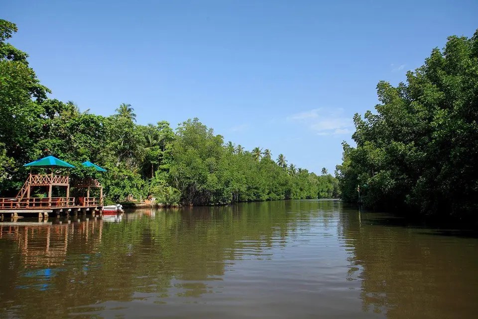 NH BENTOTA CEYSANDS RESORT (EX. CENTARA CEYSANDS) — фото 8, Coral Travel