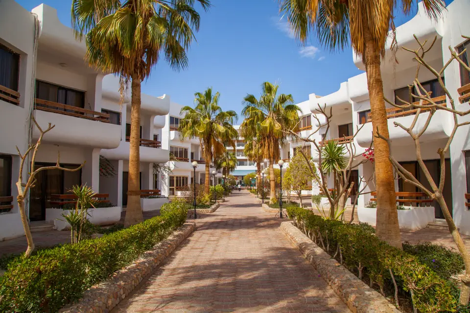 MARLIN INN AZUR RESORT — фото 5, Coral Travel