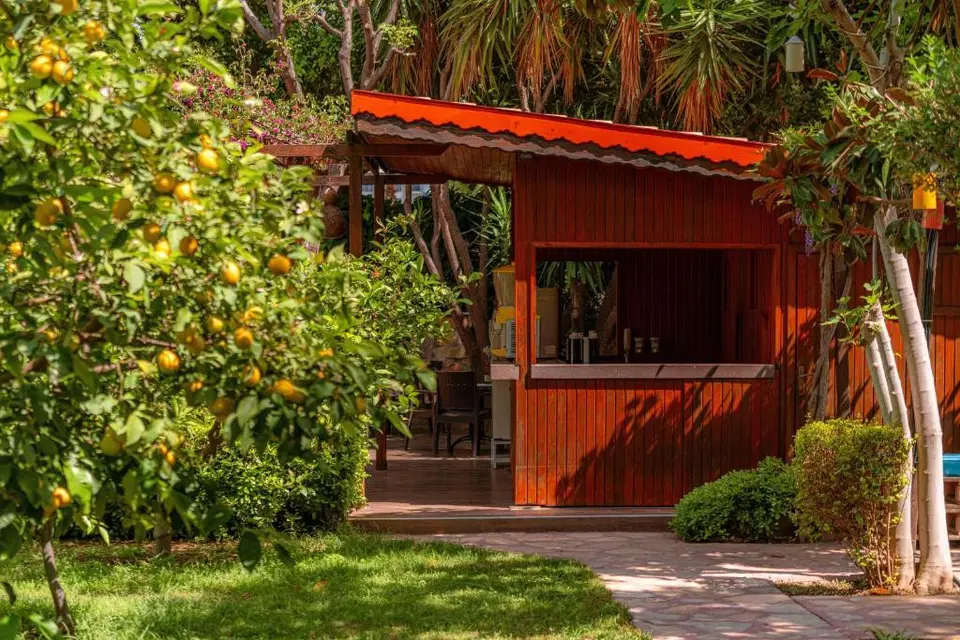 TELATIYE RESORT HOTEL — фото 6, Coral Travel