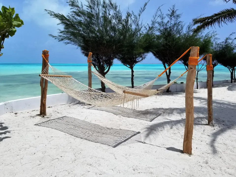 REEF & BEACH RESORT — фото 11, Coral Travel