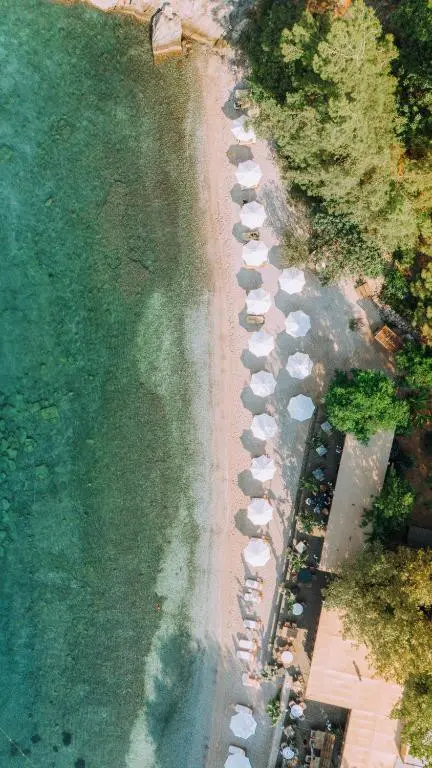 YAZZ COLLECTIVE — фото 9, Coral Travel