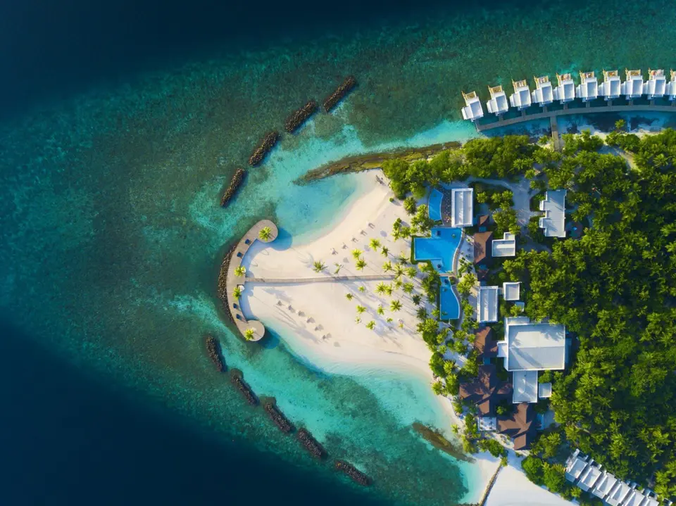 DHIGALI MALDIVES — фото 3, Coral Travel