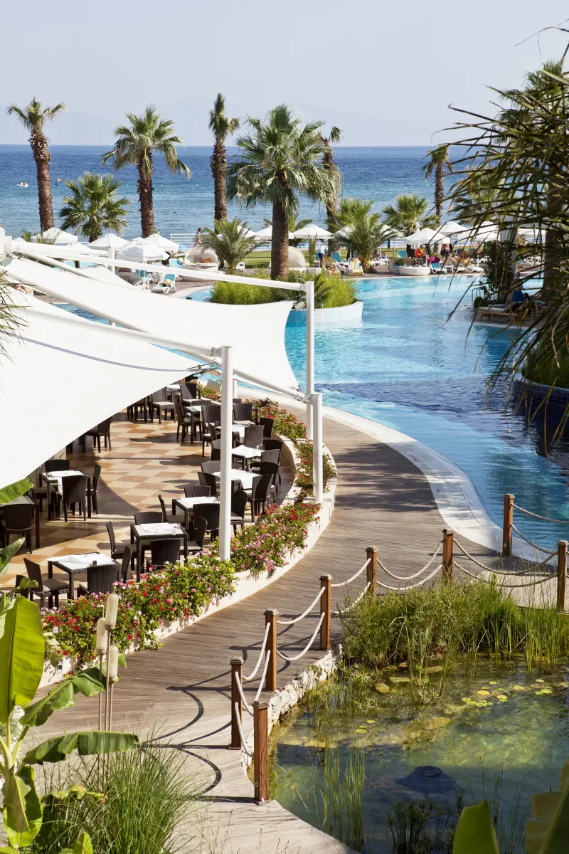 PALOMA PASHA RESORT — фото 2, Coral Travel