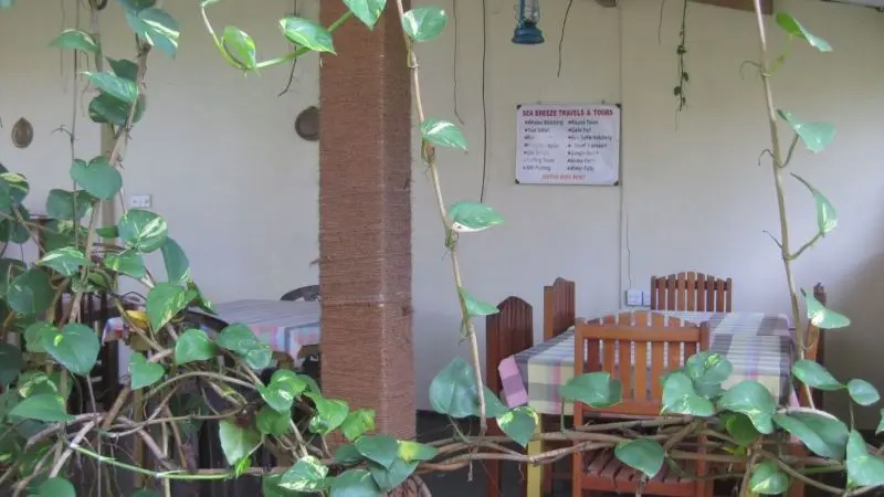 SEA BREEZE GUEST HOUSE — фото 3, Coral Travel
