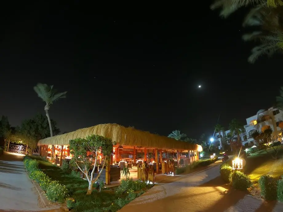 ROYAL REGENCY CLUB — фото 9, Coral Travel